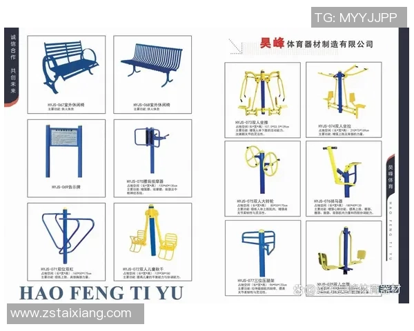 全面解析健身器材大全包含哪些健身器材及其功能与使用方法